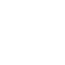 BVE