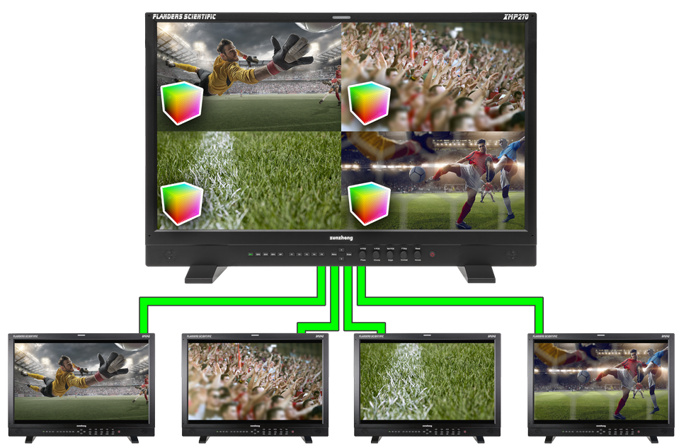 XMP310 Quad View with LUTs