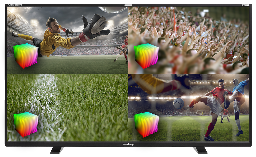 XMP550C Quad View with LUTs